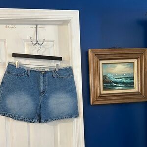 Women’s Vintage Faded Glory Distressed Raw Edge Waist Denim Shorts Size 16